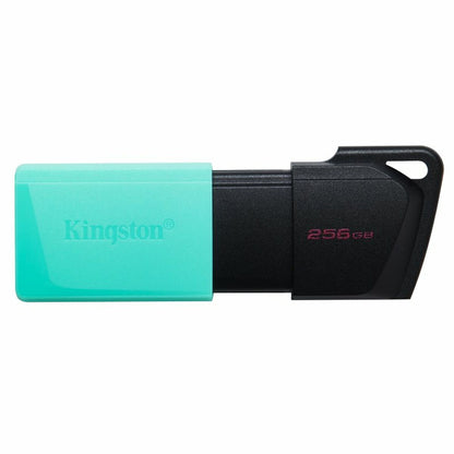 USB stick Kingston DataTraveler DTXM 256 GB 256 GB, Kingston, Computing, Data storage, usb-stick-kingston-datatraveler-dtxm-256-gb-256-gb, Brand_Kingston, category-reference-2609, category-reference-2803, category-reference-2817, category-reference-t-19685, category-reference-t-19909, category-reference-t-21355, computers / components, Condition_NEW, Price_20 - 50, Teleworking, RiotNook