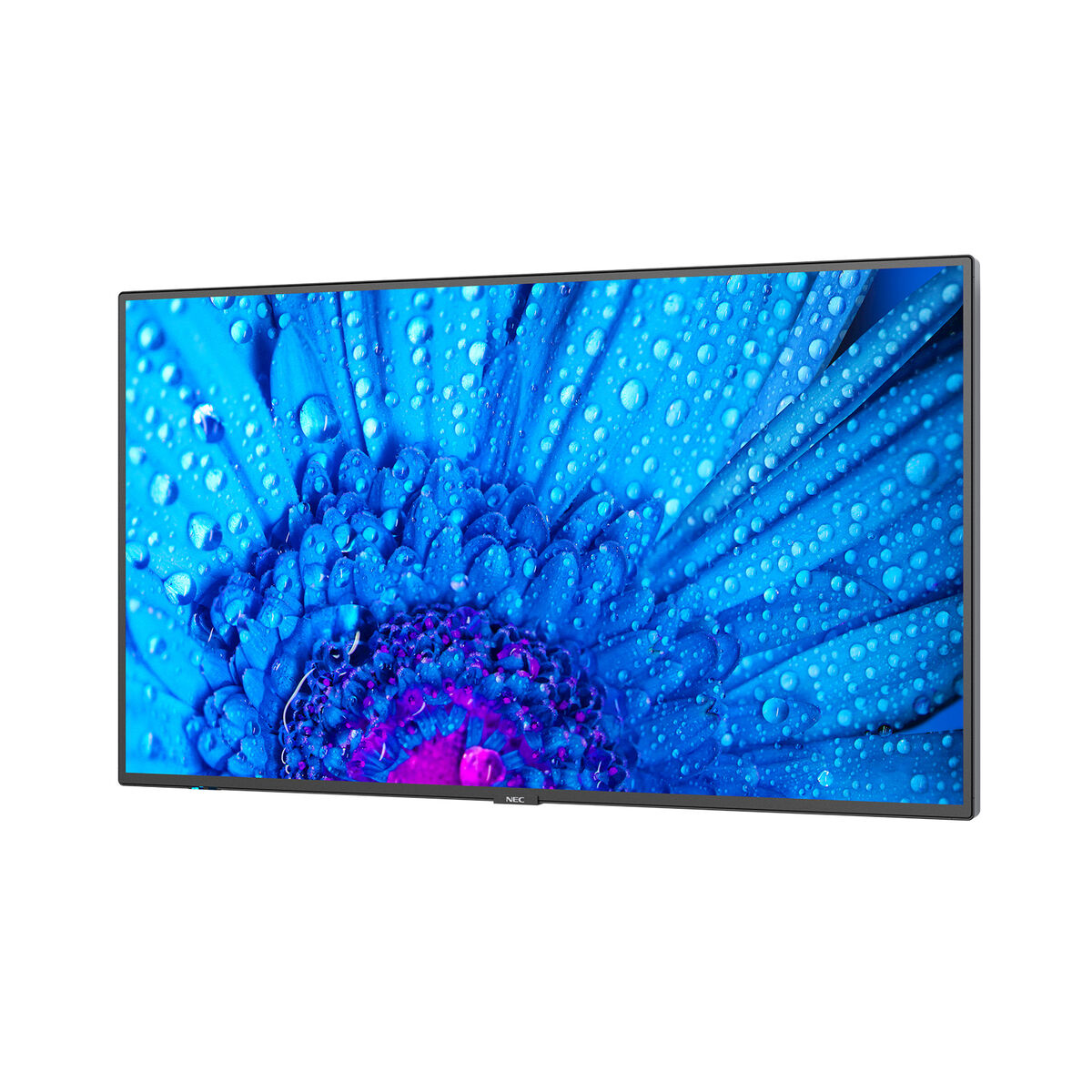 Monitor Videowall NEC M431 4K Ultra HD 43" 240 Hz 60 Hz, NEC, Computing, monitor-videowall-nec-m431-4k-ultra-hd-43-240-hz-60-hz, Brand_NEC, category-reference-2609, category-reference-2642, category-reference-2644, category-reference-t-19685, category-reference-t-19902, computers / peripherals, Condition_NEW, office, Price_+ 1000, Teleworking, RiotNook