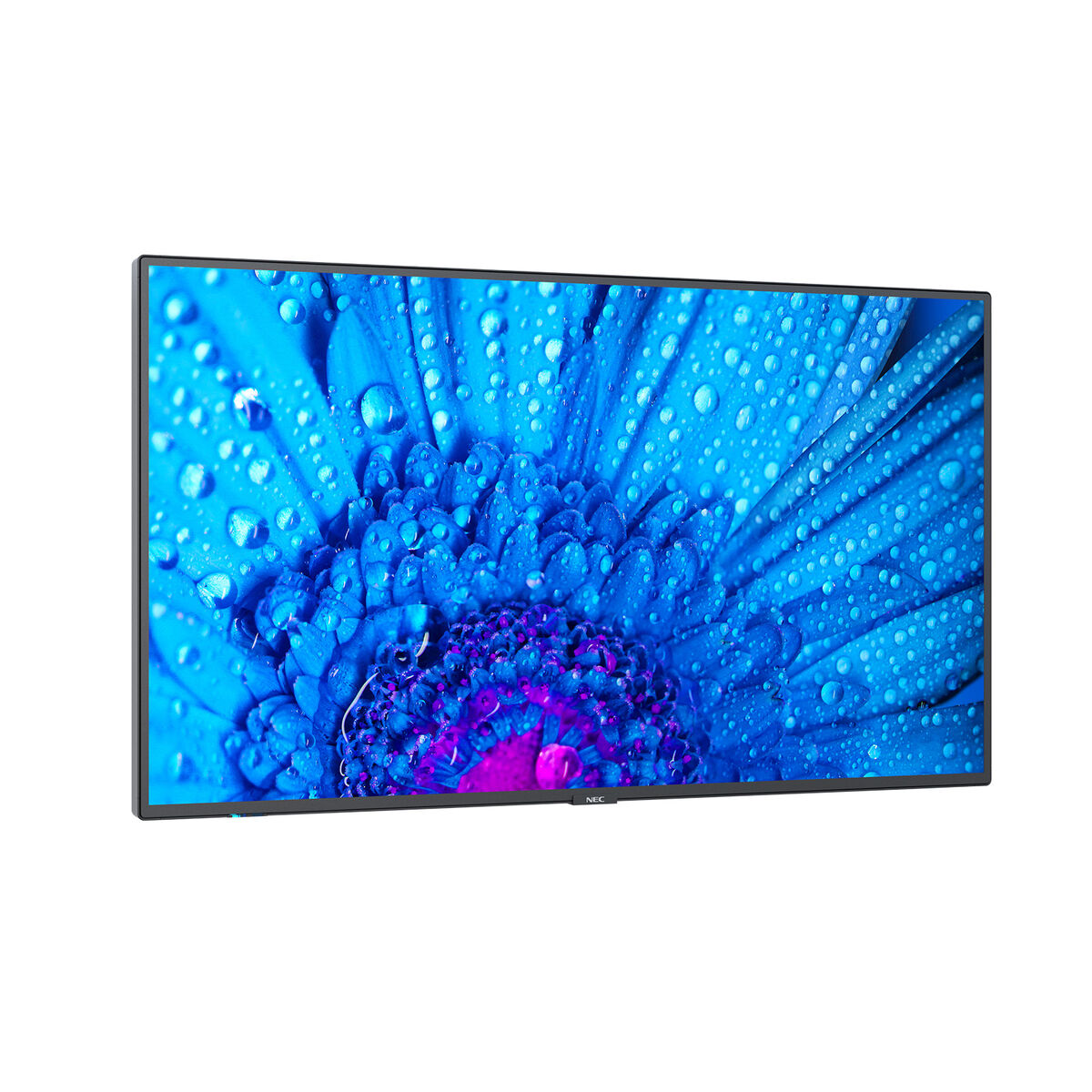 Monitor Videowall NEC M431 4K Ultra HD 43" 240 Hz 60 Hz, NEC, Computing, monitor-videowall-nec-m431-4k-ultra-hd-43-240-hz-60-hz, Brand_NEC, category-reference-2609, category-reference-2642, category-reference-2644, category-reference-t-19685, category-reference-t-19902, computers / peripherals, Condition_NEW, office, Price_+ 1000, Teleworking, RiotNook