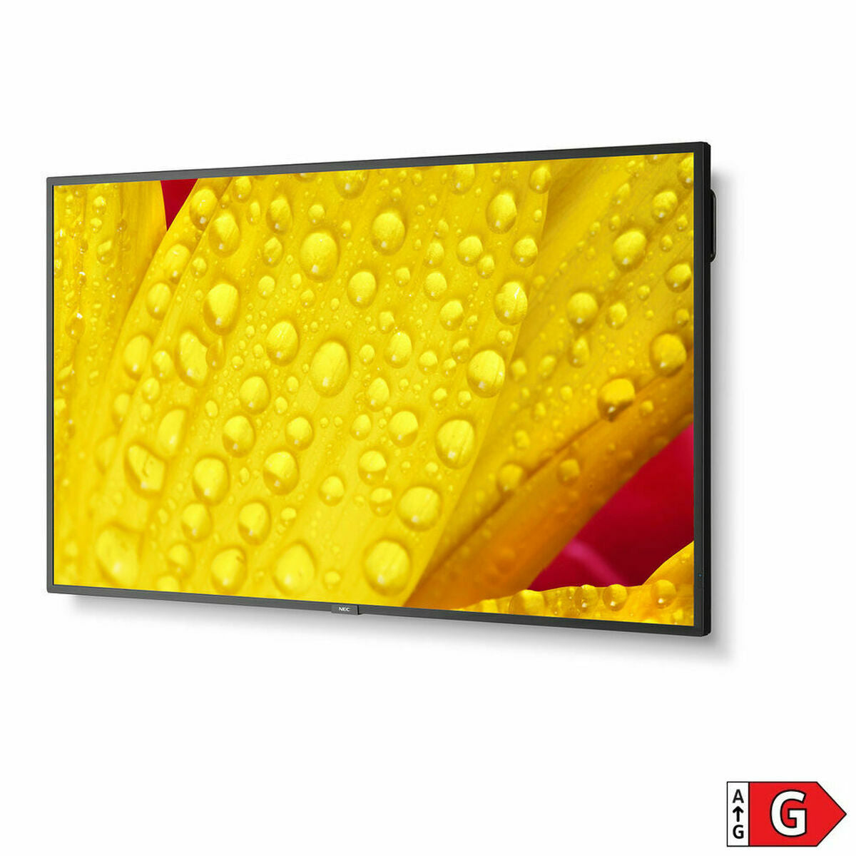 Monitor Videowall NEC ME651 65" IPS D-LED 60 Hz, NEC, Computing, monitor-videowall-nec-me651-65-ips-d-led-60-hz, :Ultra HD, Brand_NEC, category-reference-2609, category-reference-2642, category-reference-2644, category-reference-t-19685, category-reference-t-19902, computers / peripherals, Condition_NEW, office, Price_+ 1000, Teleworking, RiotNook