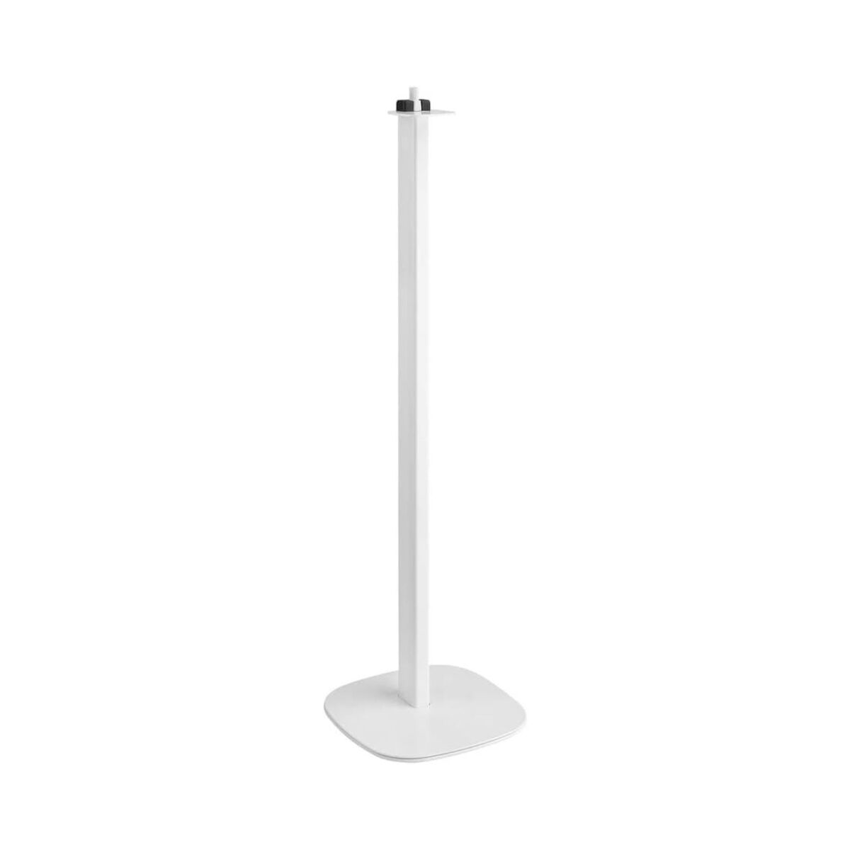 Speaker Stand Cavus FLOOR STAND, Cavus, Electronics, Audio and Hi-Fi equipment, speaker-stand-cavus-floor-stand, Brand_Cavus, category-reference-2609, category-reference-2637, category-reference-2882, category-reference-t-19653, category-reference-t-19899, category-reference-t-21329, category-reference-t-25554, category-reference-t-7441, cinema and television, Condition_NEW, music, Price_100 - 200, RiotNook