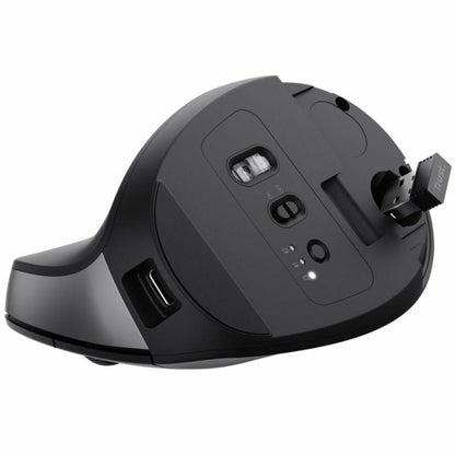 Wireless Mouse Trust Bayo+ Black, Trust, Computing, Accessories, wireless-mouse-trust-bayo-black, Brand_Trust, category-reference-2609, category-reference-2642, category-reference-2656, category-reference-t-19685, category-reference-t-19908, category-reference-t-21353, category-reference-t-25626, computers / peripherals, Condition_NEW, office, Price_50 - 100, Teleworking, RiotNook